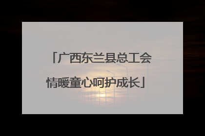 广西东兰县总工会情暖童心呵护成长