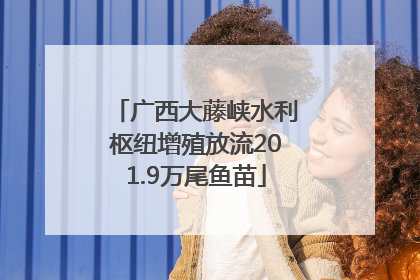 广西大藤峡水利枢纽增殖放流201.9万尾鱼苗