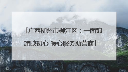 广西柳州市柳江区：一面锦旗映初心 暖心服务助营商