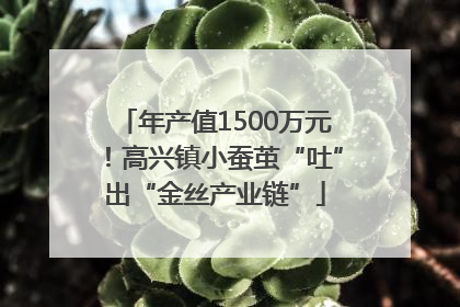 年产值1500万元！高兴镇小蚕茧“吐”出“金丝产业链”