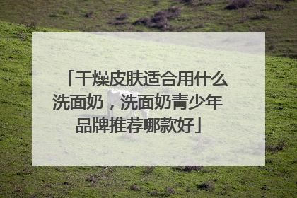 干燥皮肤适合用什么洗面奶，洗面奶青少年品牌推荐哪款好