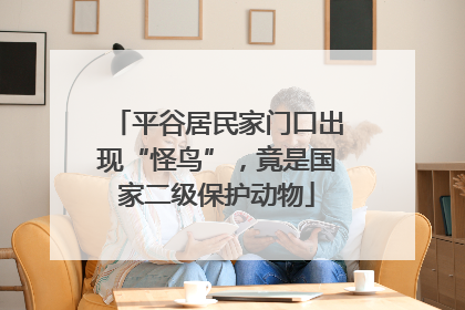 平谷居民家门口出现“怪鸟”，竟是国家二级保护动物
