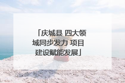 庆城县 四大领域同步发力 项目建设赋能发展