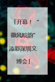 开幕！“徽风皖韵”添彩深圳文博会