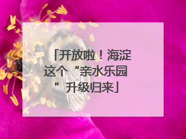 开放啦！海淀这个“亲水乐园”升级归来