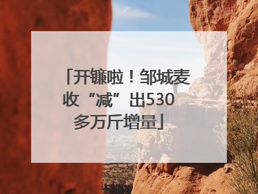 开镰啦！邹城麦收“减”出530多万斤增量