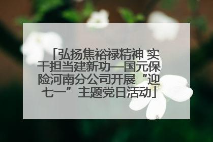 弘扬焦裕禄精神 实干担当建新功—国元保险河南分公司开展“迎七一”主题党日活动
