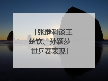 张继科谈王楚钦、孙颖莎世乒赛表现