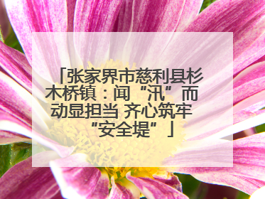 张家界市慈利县杉木桥镇：闻“汛”而动显担当 齐心筑牢“安全堤”