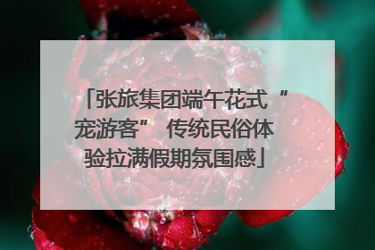 张旅集团端午花式“宠游客” 传统民俗体验拉满假期氛围感