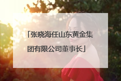 张晓海任山东黄金集团有限公司董事长