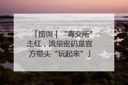 捞舆｜“青交所”走红，流量密码是官方带头“玩起来”