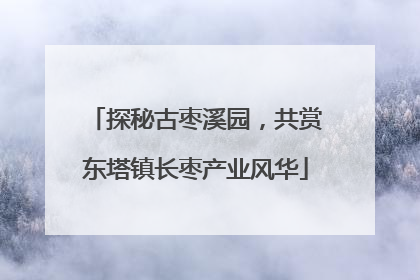 探秘古枣溪园，共赏东塔镇长枣产业风华