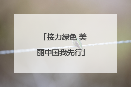 接力绿色 美丽中国我先行