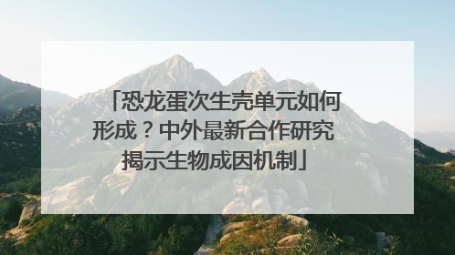恐龙蛋次生壳单元如何形成？中外最新合作研究揭示生物成因机制