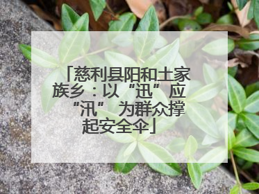 慈利县阳和土家族乡：以“迅”应“汛” 为群众撑起安全伞