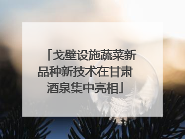 戈壁设施蔬菜新品种新技术在甘肃酒泉集中亮相