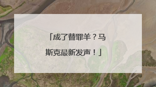 成了替罪羊？马斯克最新发声！