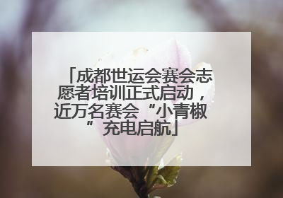 成都世运会赛会志愿者培训正式启动，近万名赛会“小青椒”充电启航