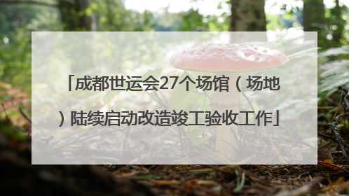 成都世运会27个场馆（场地）陆续启动改造竣工验收工作