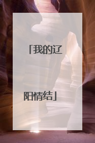 我的辽阳情结