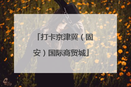 打卡京津冀（固安）国际商贸城