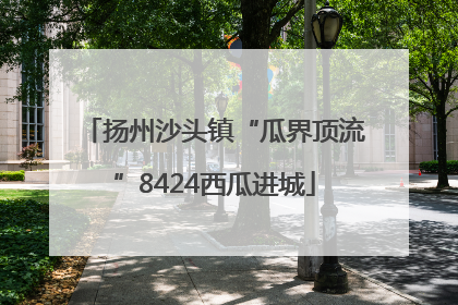 扬州沙头镇“瓜界顶流”8424西瓜进城