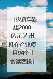 投资总额超2000亿元 泸州推介产业项目94个丨数读西投