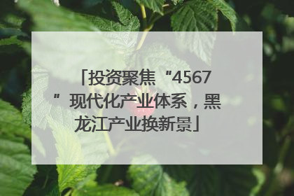 投资聚焦“4567”现代化产业体系，黑龙江产业换新景