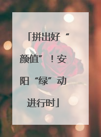 拼出好“颜值”！安阳“绿”动进行时