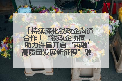 持续深化银政企沟通合作！“银政企协同，助力许昌开启‘两融’高质量发展新征程”融资对接会举行