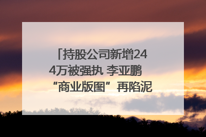 持股公司新增244万被强执 李亚鹏“商业版图”再陷泥潭？｜科技观察
