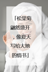 松果菊翩然盛开，像夏天写给大地的情书