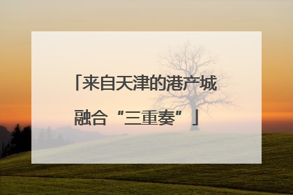 来自天津的港产城融合“三重奏”
