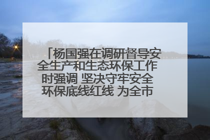 杨国强在调研督导安全生产和生态环保工作时强调 坚决守牢安全环保底线红线 为全市经济社会高质量发展提供坚强保障