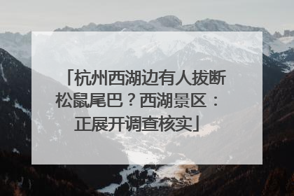 杭州西湖边有人拔断松鼠尾巴？西湖景区：正展开调查核实