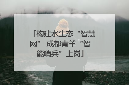 构建水生态“智慧网” 成都青羊“智能哨兵”上岗