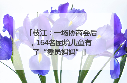 枝江：一场协商会后，164名困境儿童有了“委员妈妈”
