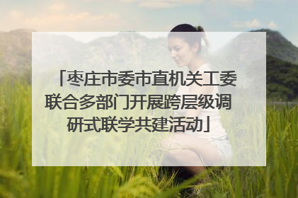 枣庄市委市直机关工委联合多部门开展跨层级调研式联学共建活动
