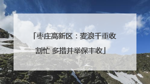 枣庄高新区：麦浪千重收割忙 多措并举保丰收