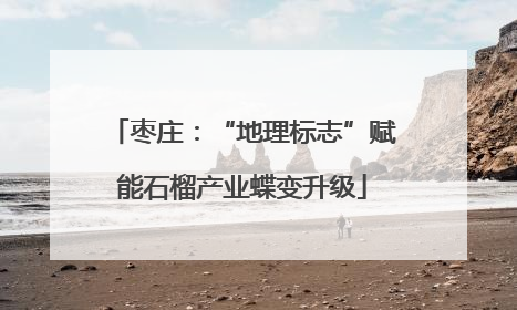 枣庄：“地理标志”赋能石榴产业蝶变升级