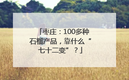 枣庄：100多种石榴产品，靠什么“七十二变”？