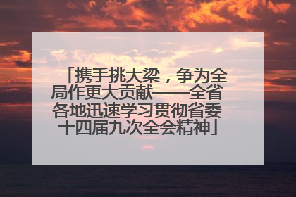 携手挑大梁，争为全局作更大贡献——全省各地迅速学习贯彻省委十四届九次全会精神