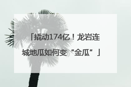 撬动174亿！龙岩连城地瓜如何变“金瓜”