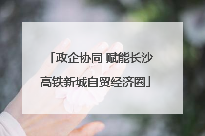 政企协同 赋能长沙高铁新城自贸经济圈