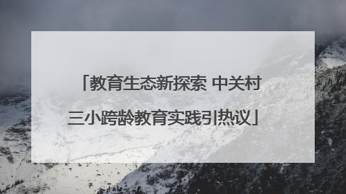 教育生态新探索 中关村三小跨龄教育实践引热议