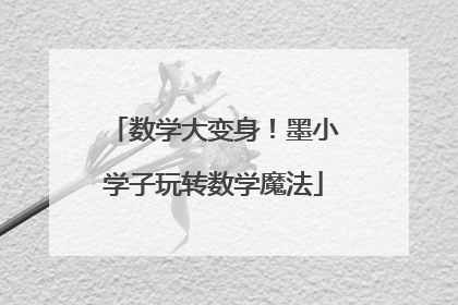 数学大变身！墨小学子玩转数学魔法