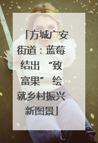 方城广安街道：蓝莓结出 “致富果” 绘就乡村振兴新图景