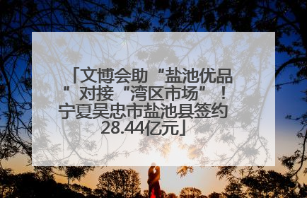文博会助“盐池优品”对接“湾区市场”！宁夏吴忠市盐池县签约28.44亿元