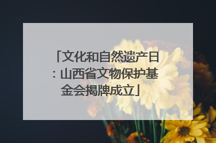 文化和自然遗产日：山西省文物保护基金会揭牌成立